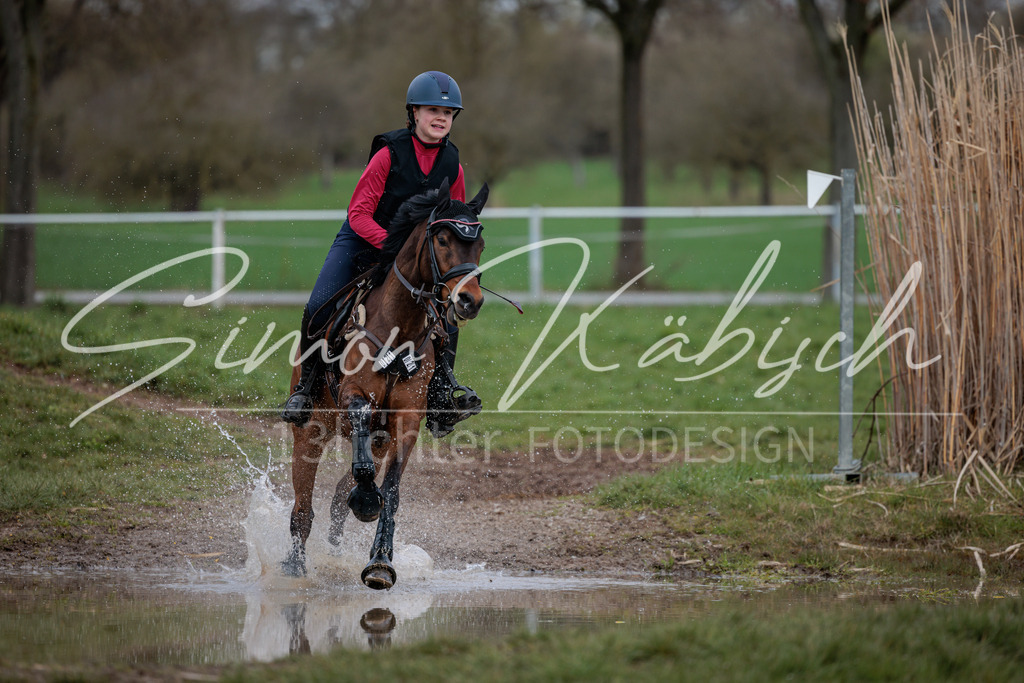 20260329-_3LI4583 | Tierfotografie Pferde, Hunde, Katzen, Haustiere.
Turnierfotografie Reitturniere, Reiten, Springreiten, Dressur in Hanau, dem Main-Kinzig-Kreis und dem Rhein-Main- Gebiet um Frankfurt