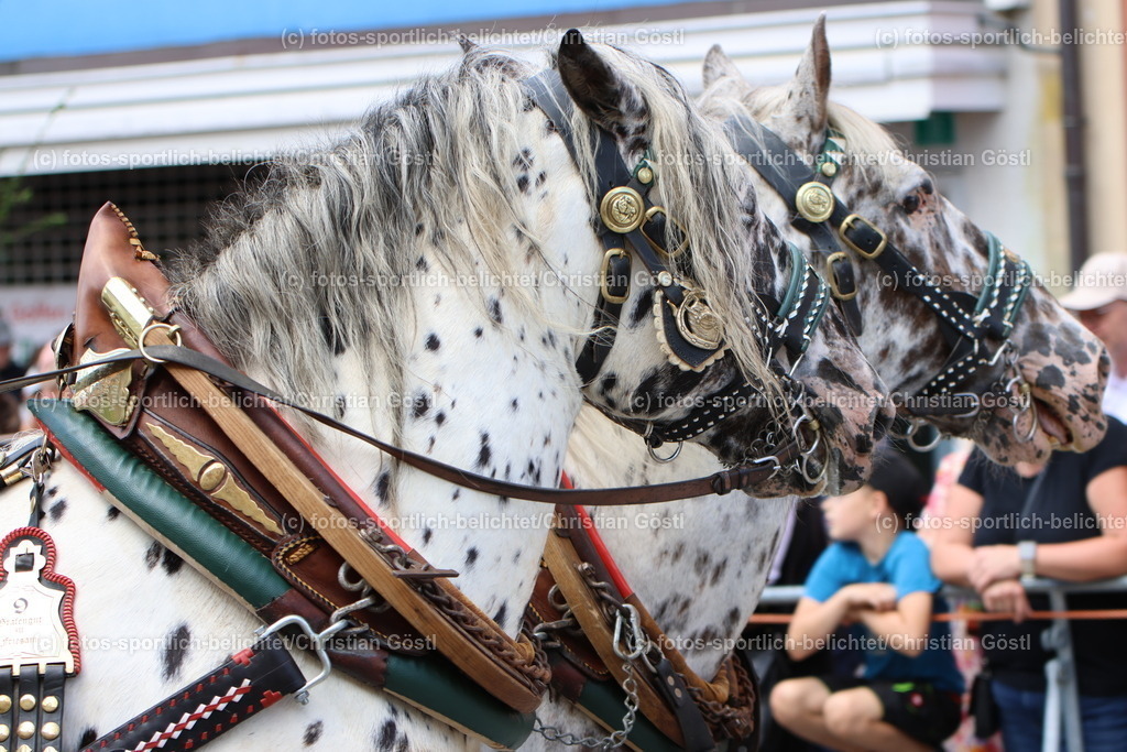 IMG_0489 | fotos-sportlich-belichtet - Realisiert mit Pictrs.com