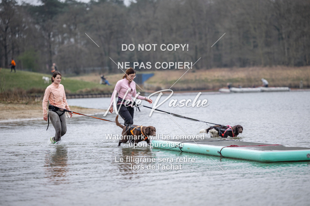 nelerasche_Hulsbeek_Sa1600-1700_166 | nelerasche
