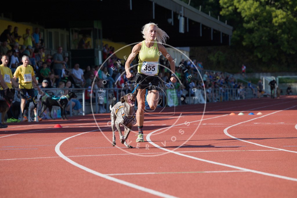 0L8A9803 | Hundefotografie, Tierfotograf, Pfotenfotografie, Fotoshooting Hund, Hunde Portrait, Hundesport, Hundeportraits, Heideshooting, Hunde, Sportfotograf, Hundefotograf, Turnierhundsport, THS,  - Realisiert mit Pictrs.com