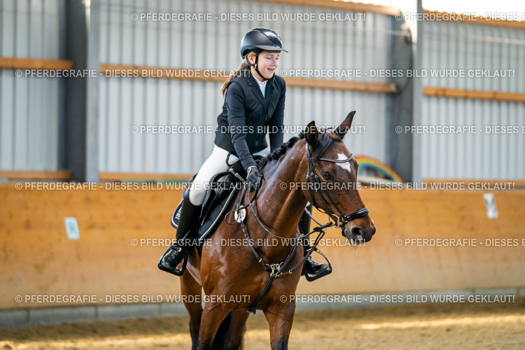 DSC01157 | Pferdegrafie