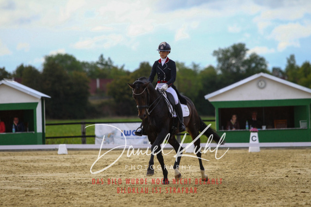 DKP44731 | Turniersportfotografie; Pferdefotografie; Dressurfotografie