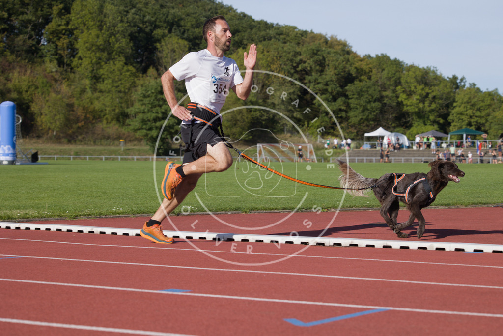 0L8A9883 | Hundefotografie, Tierfotograf, Pfotenfotografie, Fotoshooting Hund, Hunde Portrait, Hundesport, Hundeportraits, Heideshooting, Hunde, Sportfotograf, Hundefotograf, Turnierhundsport, THS,  - Realisiert mit Pictrs.com