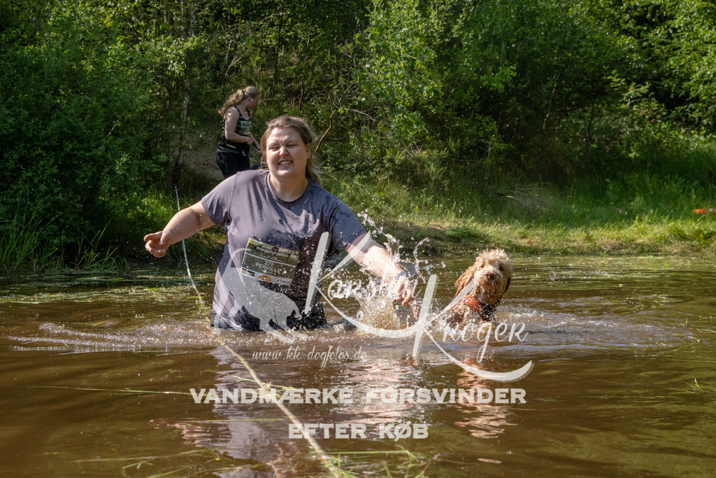 1613DKK993662 | kk-dogfotos