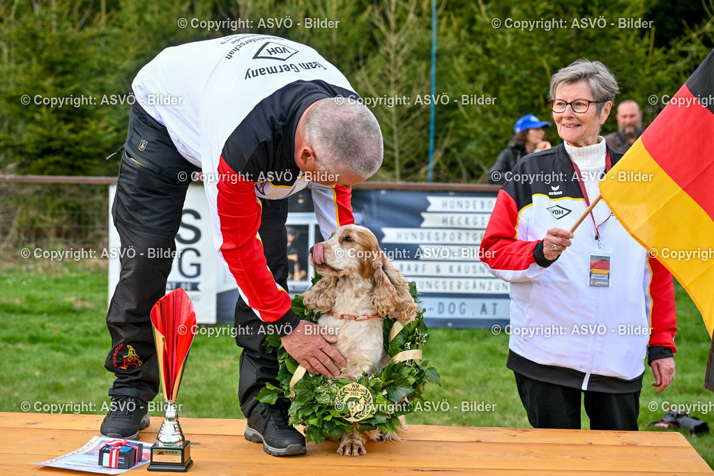ASVÖ_ Tracking Dog World Championship 2025_ 05.04.2025-198 | bilder.asvo-sport - Realisiert mit Pictrs.com