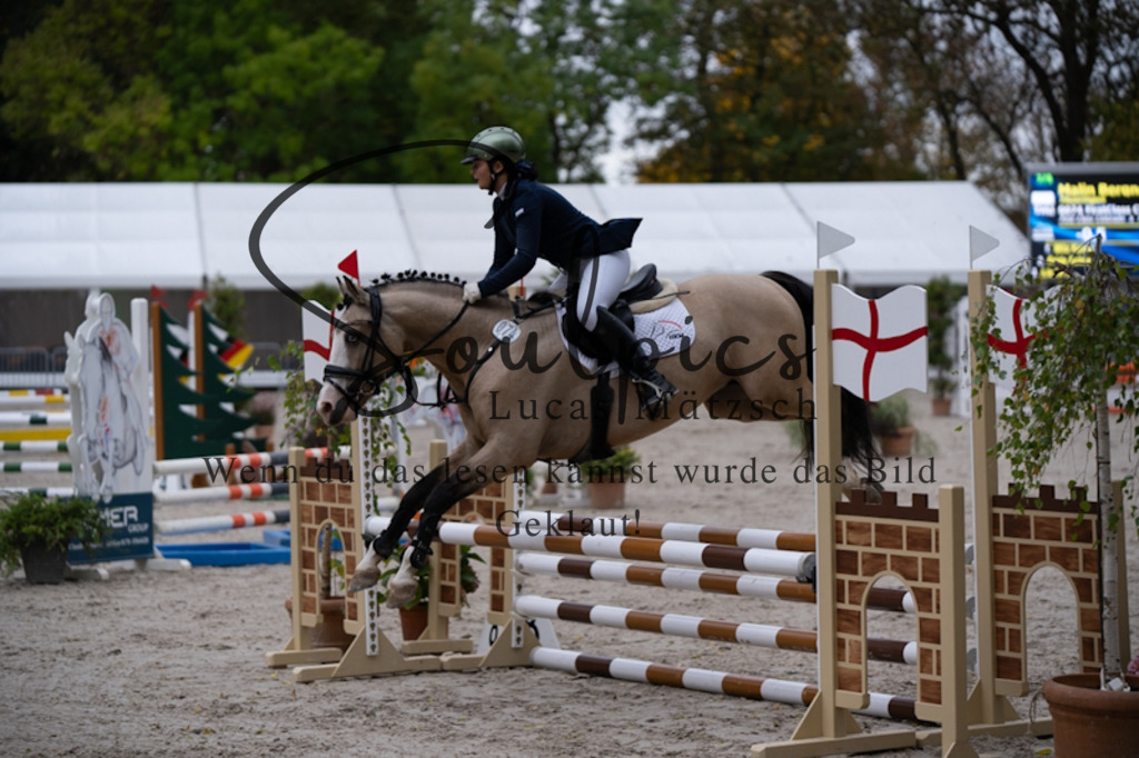 A7V09732 | Pferdefotograf