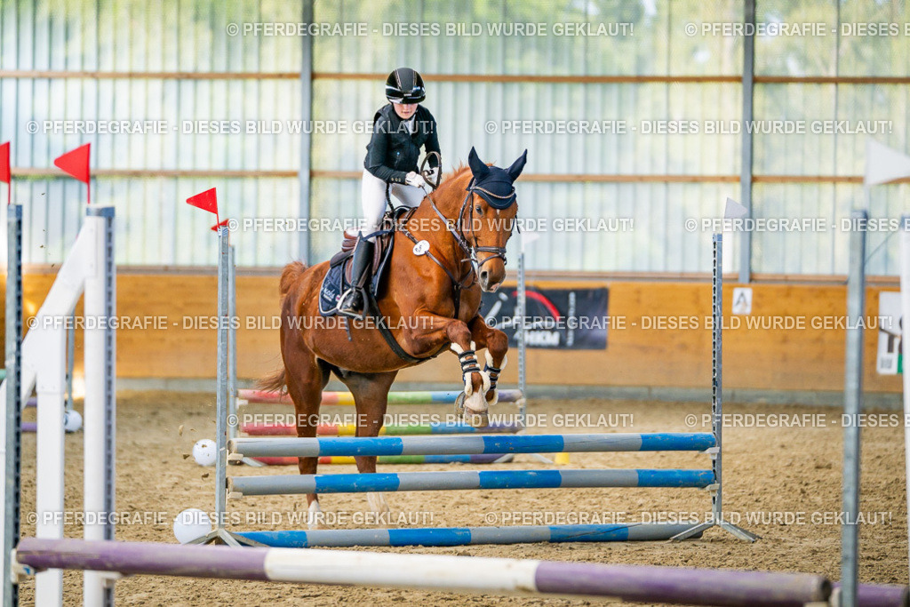 DSC01306 | Pferdegrafie