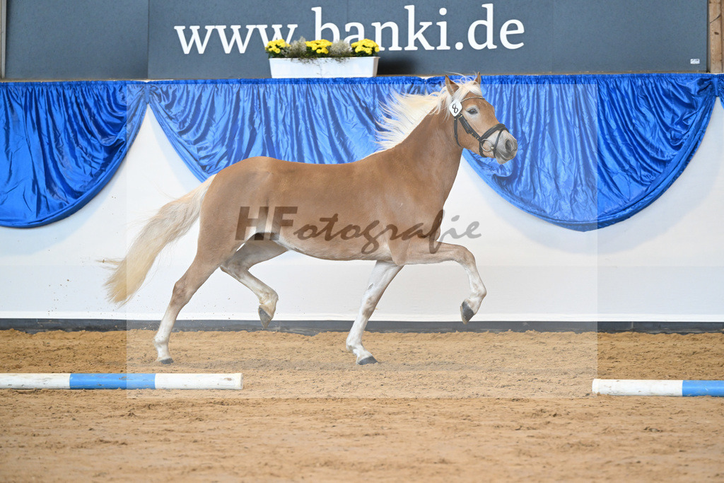 Kat-Nr. 8 Finja v. Barios_Felsl_60221149 | hf-fotografie - Realisiert mit Pictrs.com