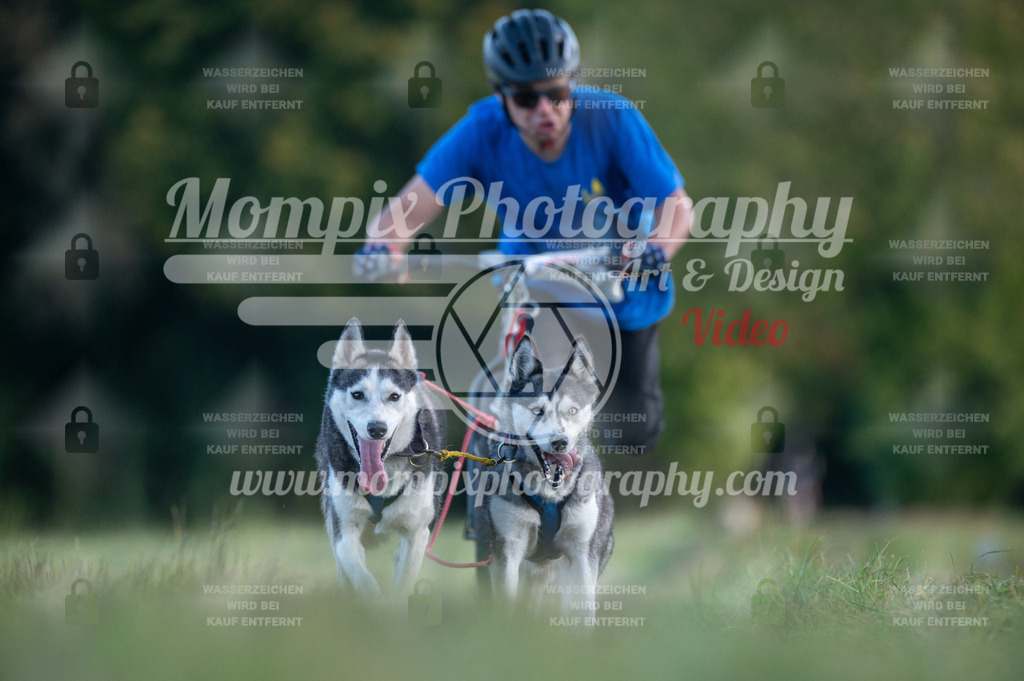 CDLBDB_15_10_2023_Dimanche-87 | mompixphotography