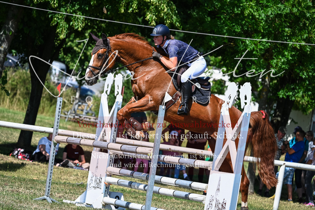 DSC_1572 | Pferde- und Turnierfotografie in Westsachsen. Pferdeportraits, Auftragszeichnungen und intuitive Kunst.
