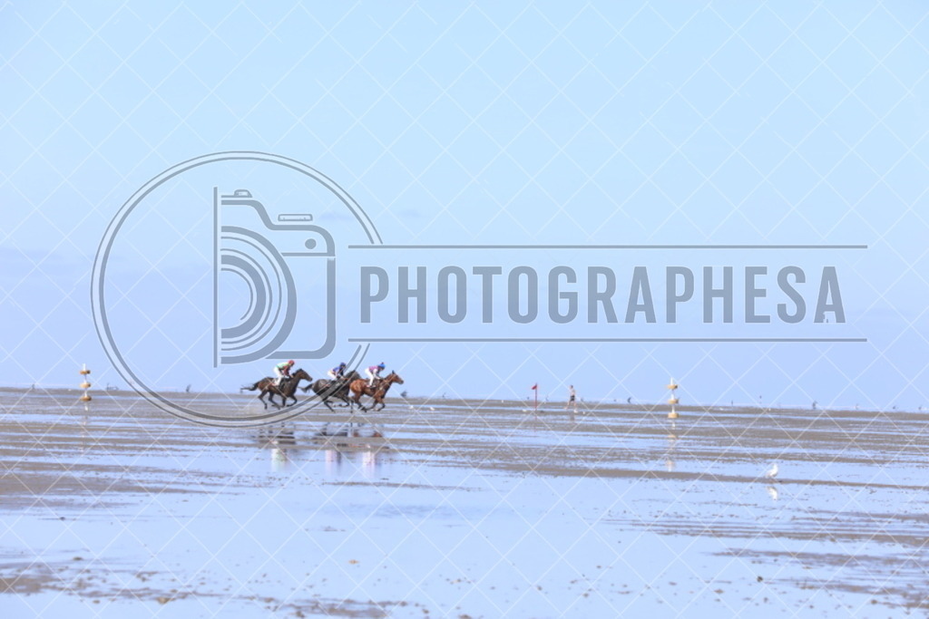 IMG_8878 | photographesa-joergens - Realisiert mit Pictrs.com