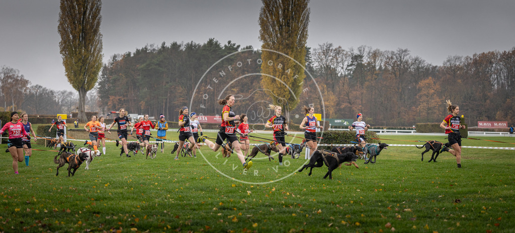 CaniXpix_DV3A8791 | Hundefotografie, Tierfotograf, Pfotenfotografie, Fotoshooting Hund, Hunde Portrait, Hundesport, Hundeportraits, Heideshooting, Hunde, Sportfotograf, Hundefotograf, Turnierhundsport, THS,  - Realisiert mit Pictrs.com