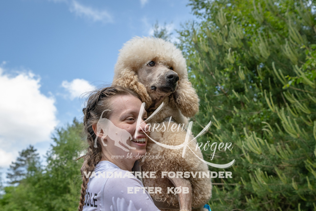 1241DKK993324 | kk-dogfotos