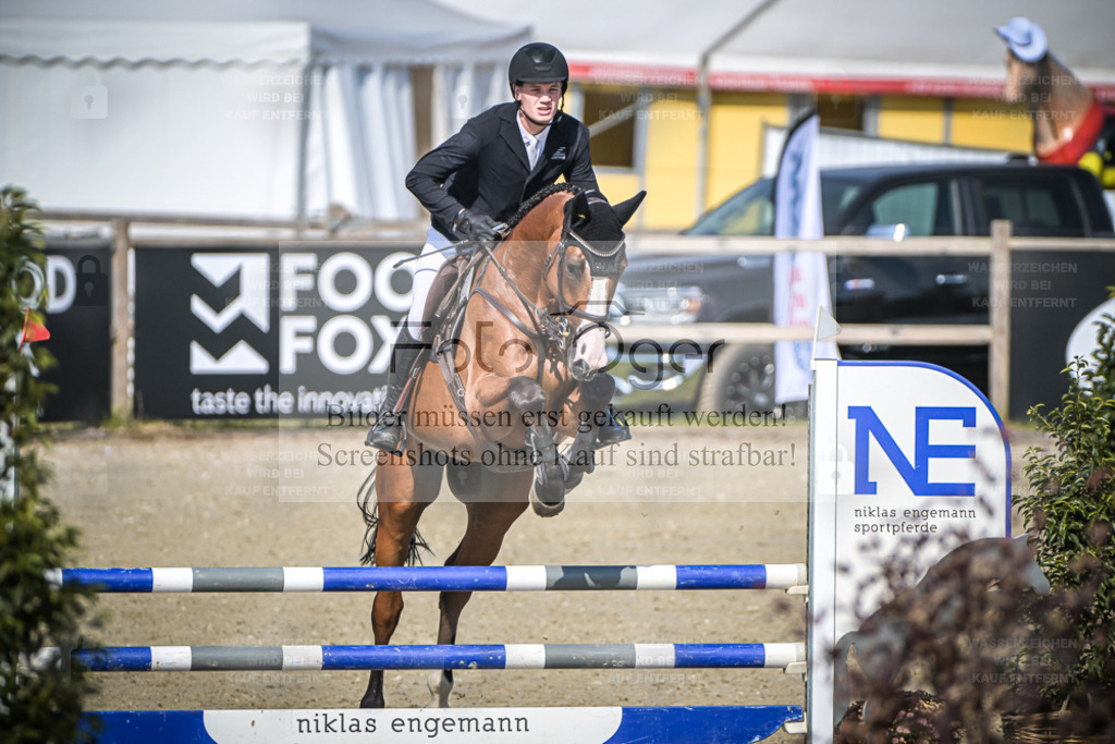 DOS_1725 | Entdecke hochwertige Reitturnierfotos von Foto Oger. Professionell, emotional und authentisch – jetzt Lieblingsmomente im Shop bestellen. - Realisiert mit Pictrs.com