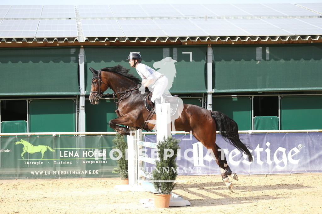 DL2Q3022 | Willkommen bei Brunnmayr - Design & Fotografie – Ihrem Spezialisten für Reitturniere und Pferdeveranstaltungen in Oberösterreich, Salzburg und Bayern! Seit über 17 Jahren sind wir leidenschaftlich dabei.