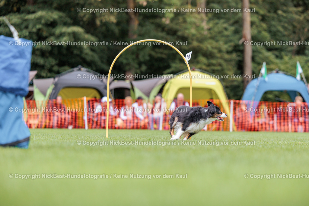 BSP Hoopers-H2 Tag2-2026-Nickbest-Hundefotografie-TuS Komet Arsten e.V.-5160 | Dein Hund! Dein Moment! Deine Erinnerungen! Hundefotografie in Bremen Blumenthal. Ich fange die besonderen Momente deines Vierbeiners ein – ob Indoor mit Blitzanlage oder in der freien Natur. Sicher dir dein Moment und dein Termin für eure Erinnerungen.