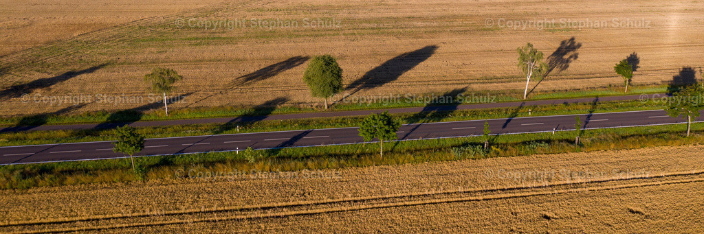 Reifes Getreide, leere Landstraße  | Reifes Getreide steht links und rechts einer Landstraße. In vielen Regionen von Sachsen-Anhalt läuft die Ernte auf Hochtouren. Luftaufnahme mit Drohne) - Realisiert mit Pictrs.com
