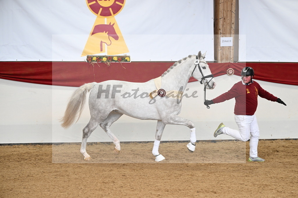 Kat.-Nr. 35 v. Zirocco Blue_Schlamminger_3265319 | hf-fotografie - Realisiert mit Pictrs.com