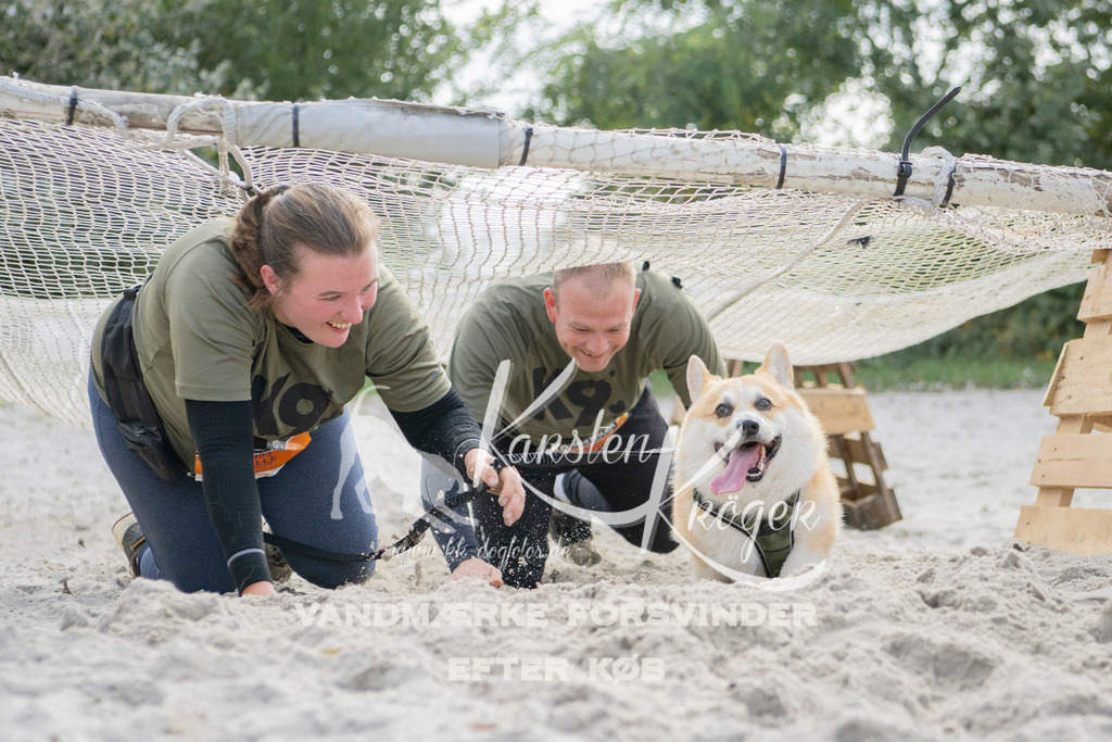 1332_ZZ97603 | kk-dogfotos