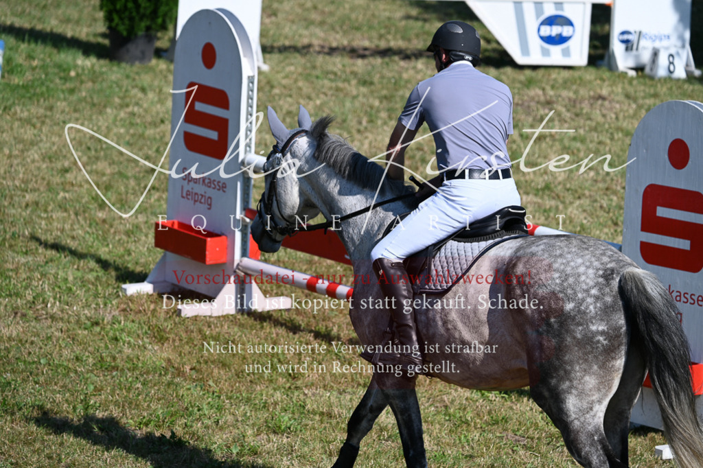 DSC_1987 | Pferde- und Turnierfotografie in Westsachsen. Pferdeportraits, Auftragszeichnungen und intuitive Kunst.