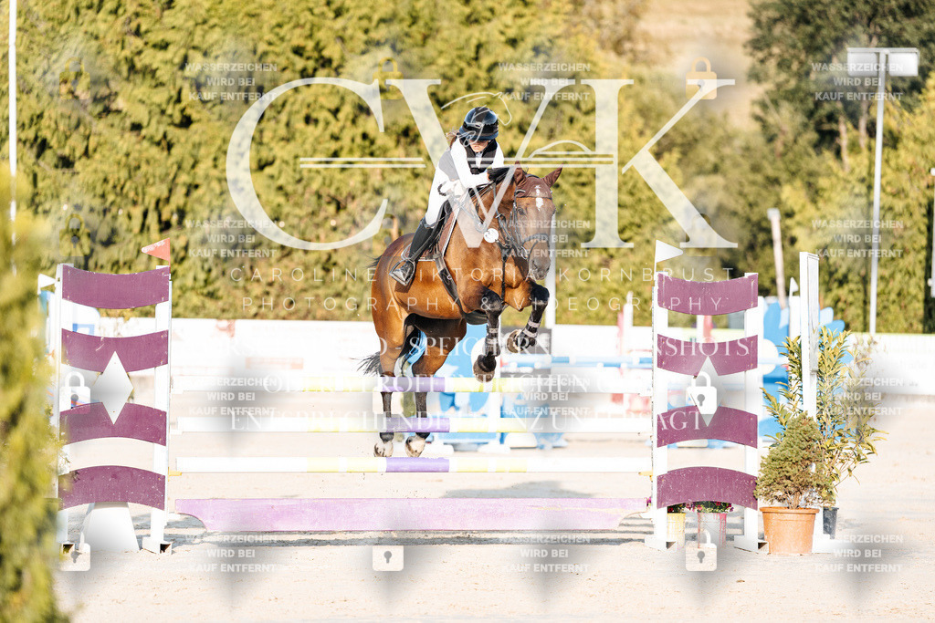 CK900719 | Turnierfotografie Pferdefotografie Trier Rheinland-Pfalz Pferdesport Reitsport Tierfotografie Sportfotografie Pferdevideo Pferdevideografie Equestrianvideography equestrianphotography  - Realisiert mit Pictrs.com