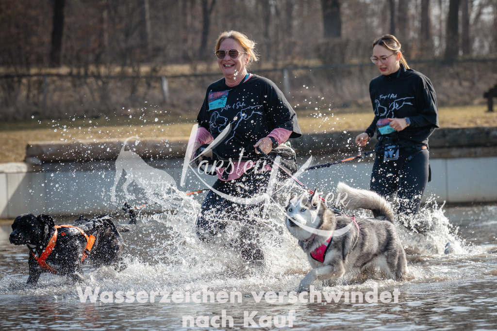 1103_ZZ91869 | kk-dogfotos