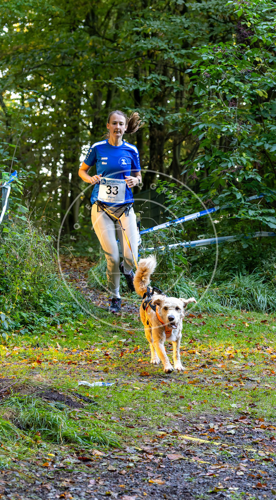 Pfotenfotografie_DV3A6702 | Hundefotografie, Tierfotograf, Pfotenfotografie, Fotoshooting Hund, Hunde Portrait, Hundesport, Hundeportraits, Heideshooting, Hunde, Sportfotograf, Hundefotograf, Turnierhundsport, THS,  - Realisiert mit Pictrs.com