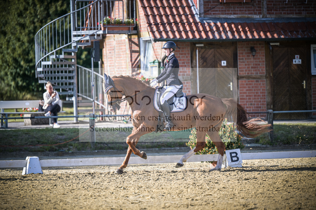 DOS_1113 | Entdecke hochwertige Reitturnierfotos von Foto Oger. Professionell, emotional und authentisch – jetzt Lieblingsmomente im Shop bestellen.Deutschlandweite Turnierfotografie. - Realisiert mit Pictrs.com
