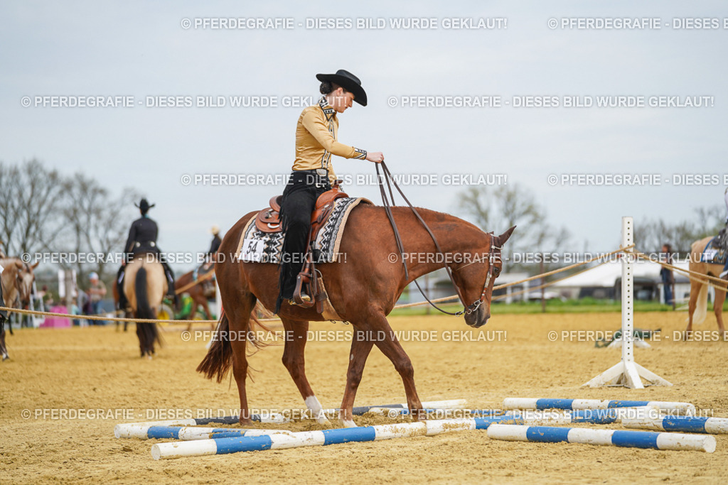 DSC03251 | Pferdegrafie