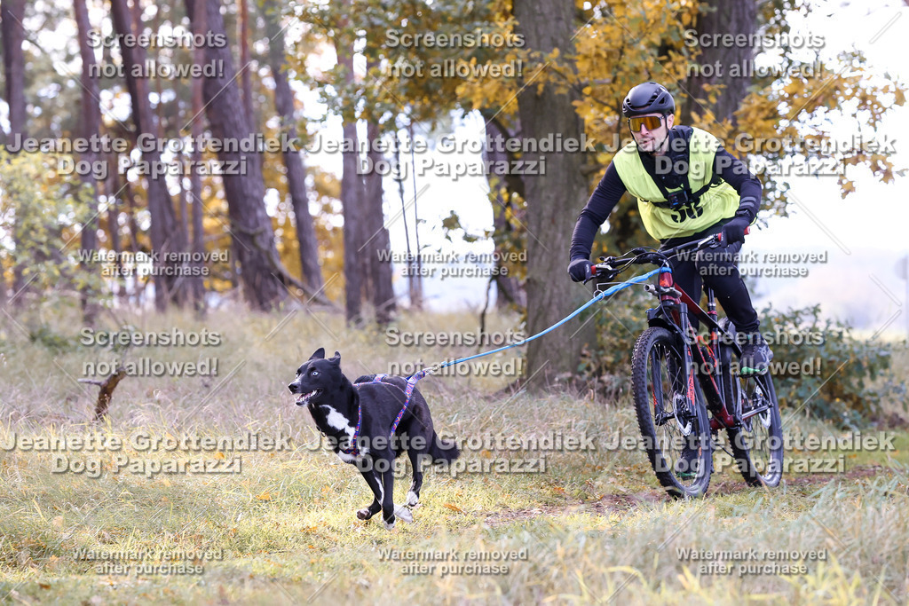 Dog Paparazzi - Elsholz 25 -146 | Dog Paparazzi Jeanette Grottendiek Fotografie & Videografie - Realisiert mit Pictrs.com