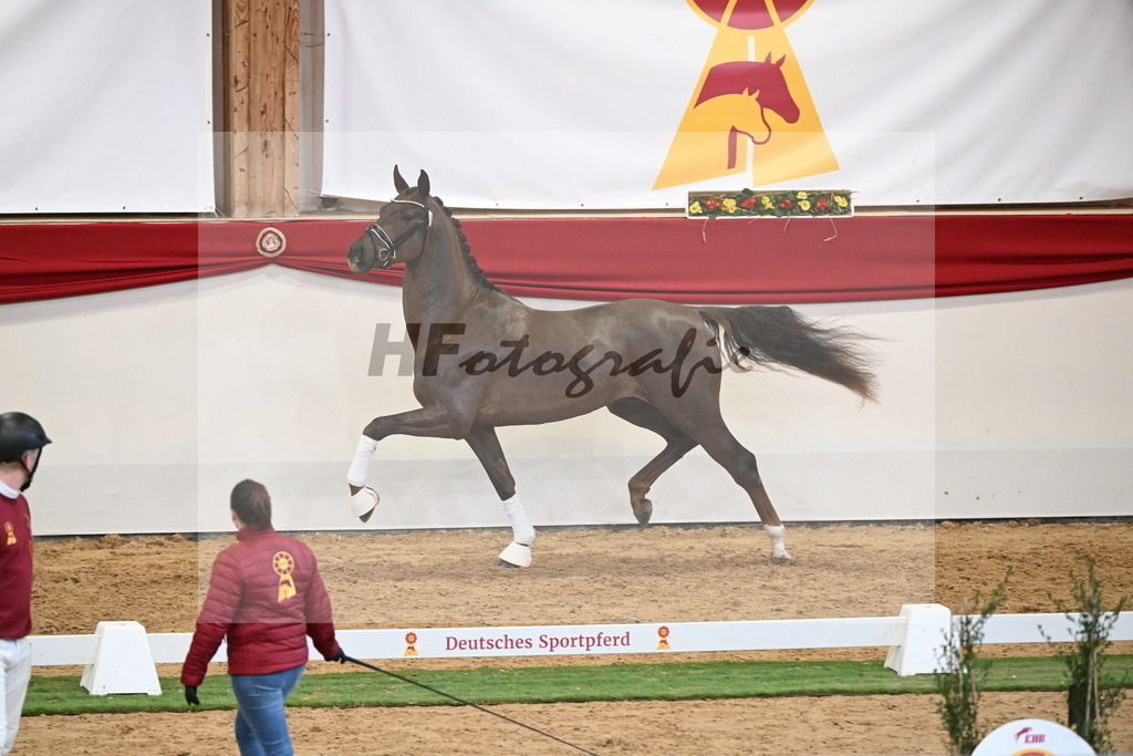 Kat.-Nr. 47 v. Damontez_Pfefferle_2250117 | hf-fotografie - Realisiert mit Pictrs.com