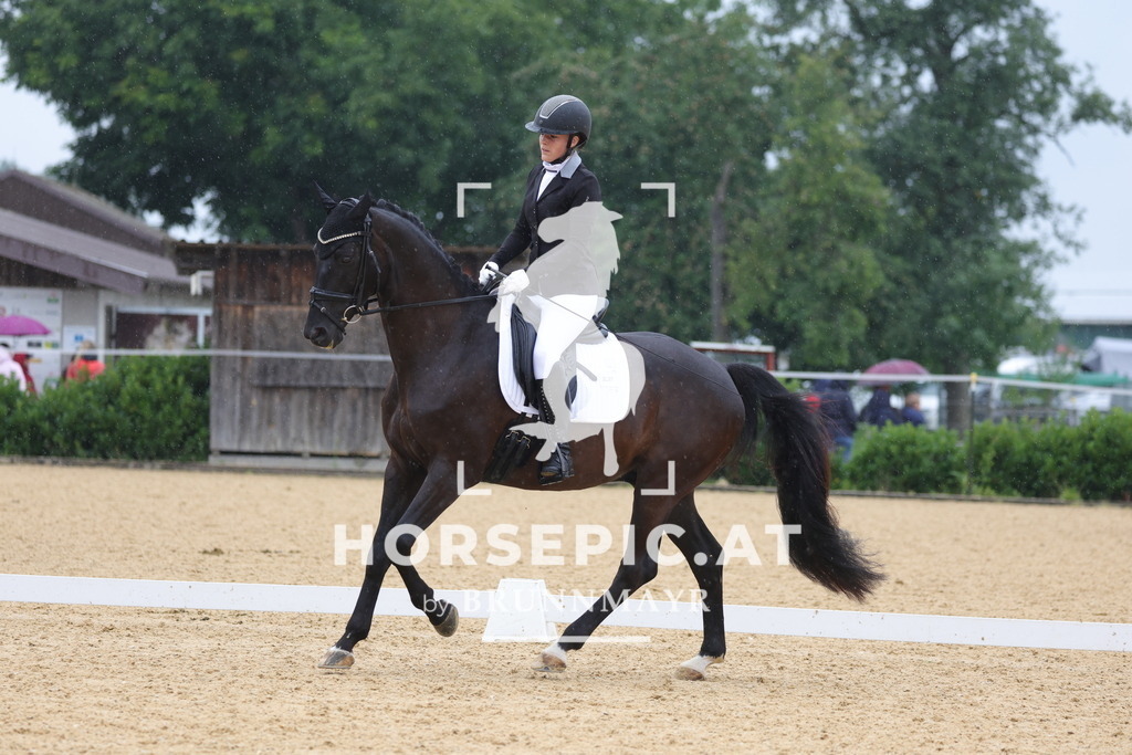 0P6A9437 | Willkommen bei Brunnmayr - Design & Fotografie – Ihrem Spezialisten für Reitturniere und Pferdeveranstaltungen in Oberösterreich, Salzburg und Bayern! Seit über 17 Jahren sind wir leidenschaftlich dabei.