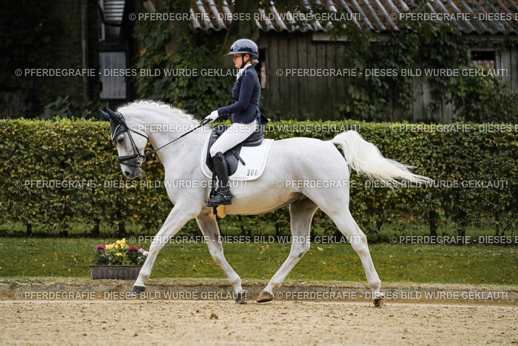 DSC06532 | Pferdegrafie