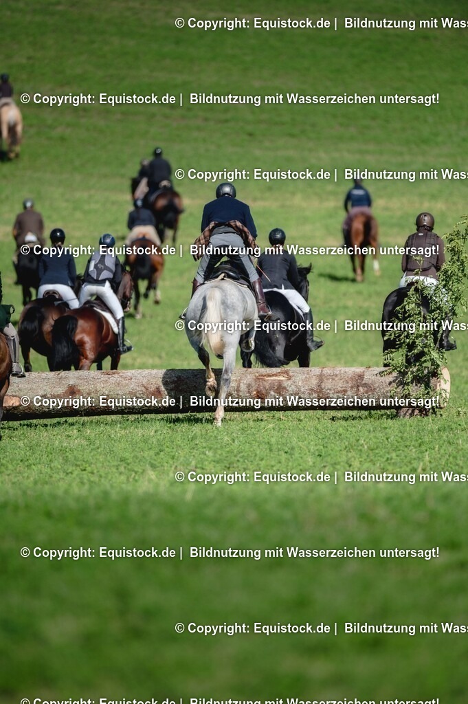 20251011_Jagd-Marbach_0266 | Foto: Thomas Hartig