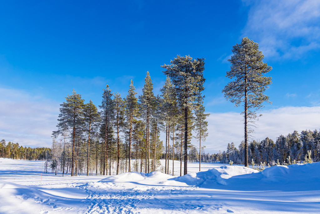 Landschaft mit Schnee und Bäumen im Winter in Kuusamo, Finnland | Landschaft mit Schnee und Bäumen im Winter in Kuusamo, Finnland.