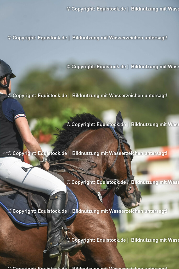 20230909_22_Springen_M_0099 | Foto: Thomas Hartig