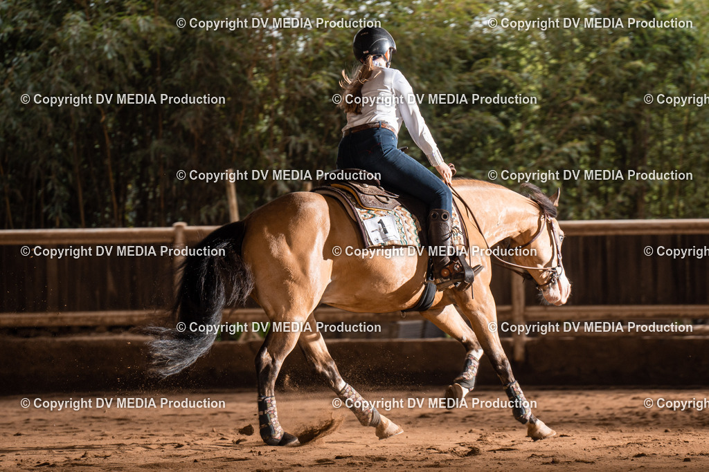 Erbach Tag 2-747 | dv-media-shop - Realisiert mit Pictrs.com