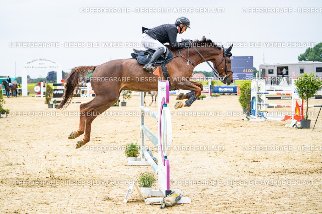 DSC06793 | Pferdegrafie