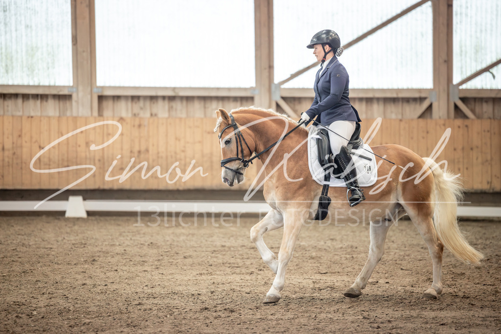 20251011-_3LI6611 | Tierfotografie Pferde, Hunde, Katzen, Haustiere.
Turnierfotografie Reitturniere, Reiten, Springreiten, Dressur in Hanau, dem Main-Kinzig-Kreis und dem Rhein-Main- Gebiet um Frankfurt