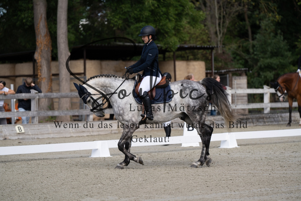 A7V06843 | Turnier/Reitfotograf