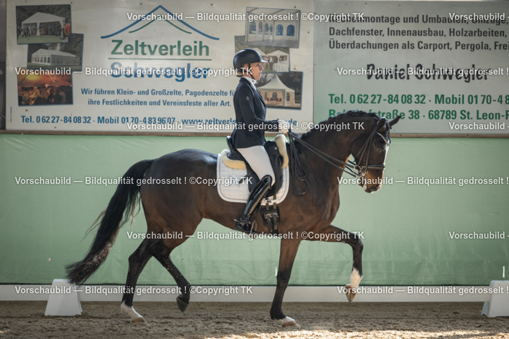 _D5A2976 | Emotionale Pferde- & People-Fotografie rund um Heidelberg, Leimen & Umgebung. Natürliche Fotos von Pferd, Mensch & Familie. Jetzt Termin sichern!