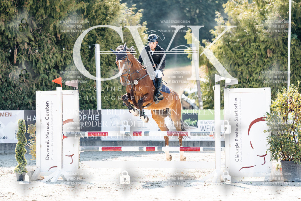 CK908078 | Turnierfotografie Pferdefotografie Trier Rheinland-Pfalz Pferdesport Reitsport Tierfotografie Sportfotografie Pferdevideo Pferdevideografie Equestrianvideography equestrianphotography  - Realisiert mit Pictrs.com