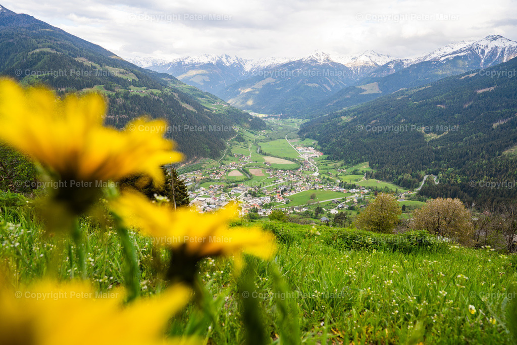 Winklern_Frühling-4 | piet_flosse