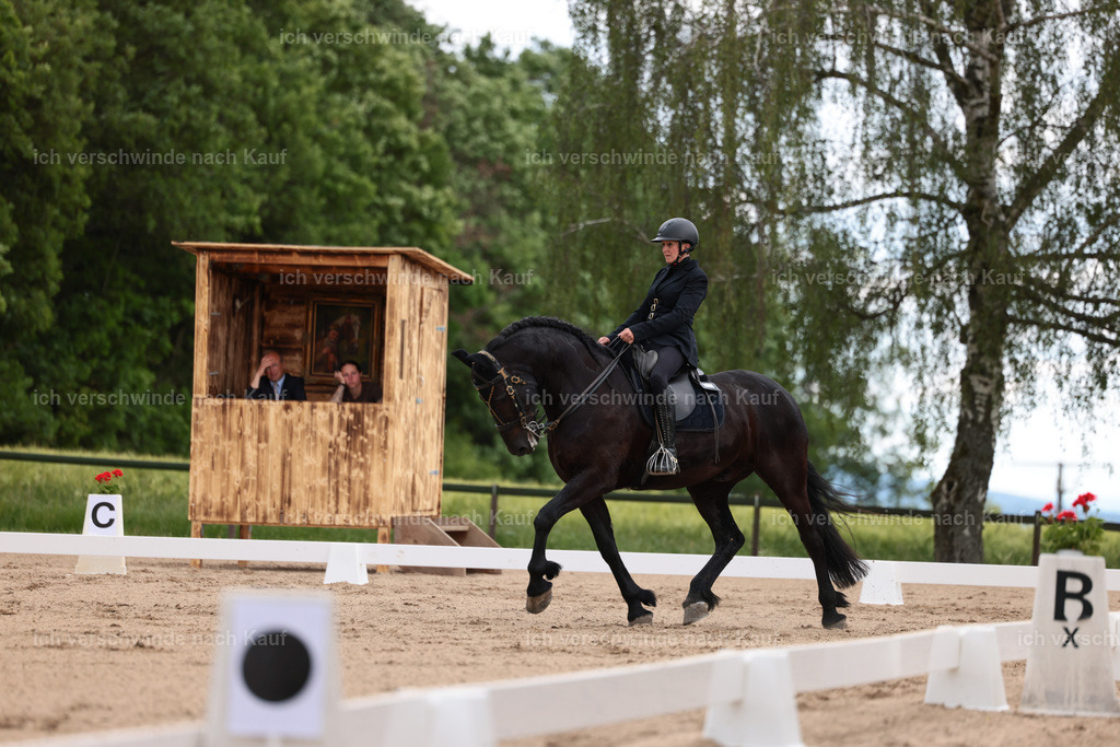 KlasseM_Stoibphotography_C2_L6164.JPG | working equitationturnier fotograf videograf stoibphotography marixx film working equitation deutschland reitsport turnierfotografie eventfotografie equestrian events
