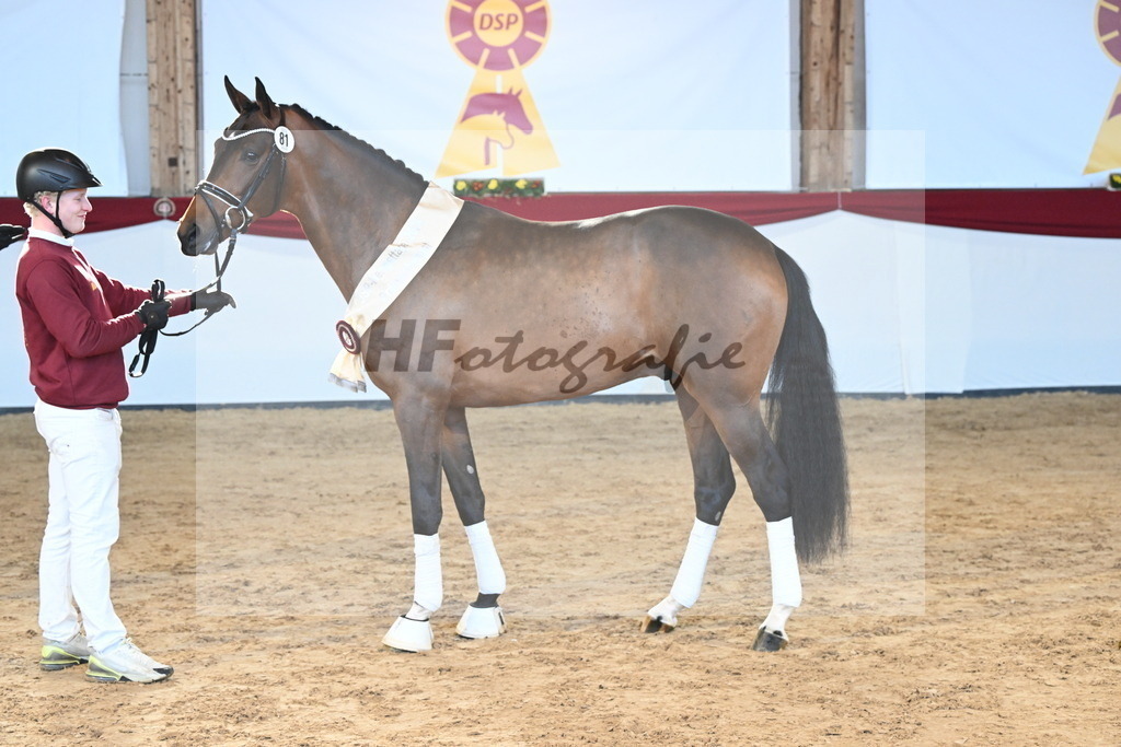 Kat.-Nr. 81 v. Vivino_Freisel_2242925 | hf-fotografie - Realisiert mit Pictrs.com