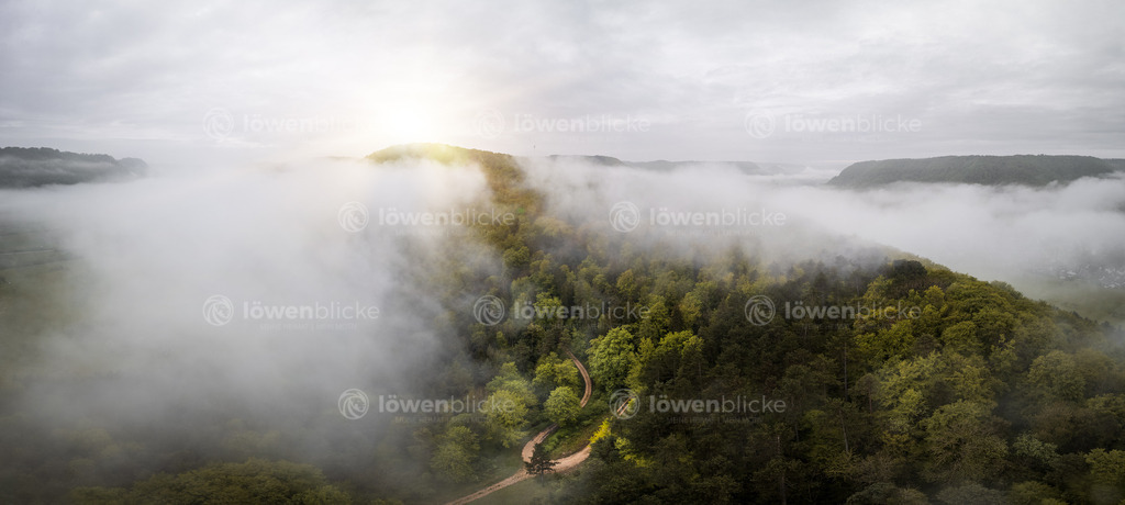 Blick vom Hexensattel über den Weigoldsberg | löwenblicke | shop