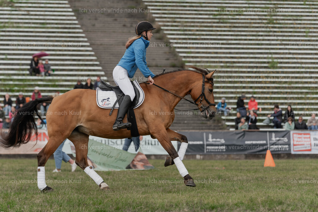 Showprogramm-288 | working equitationturnier fotograf videograf stoibphotography marixx film working equitation deutschland reitsport turnierfotografie eventfotografie equestrian events