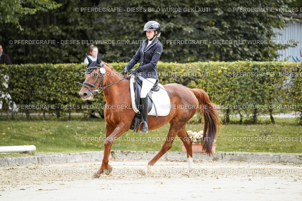 DSC04746 | Pferdegrafie