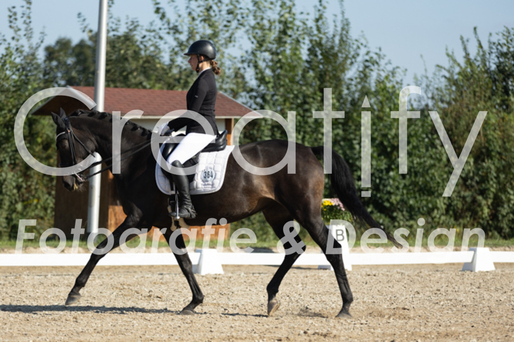 IMG_0557 | Creatify Fotografie