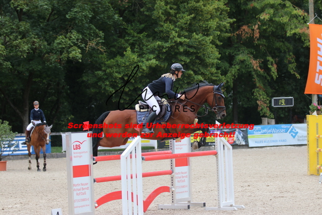 IMG_8006 | lmwpictures - Realisiert mit Pictrs.com